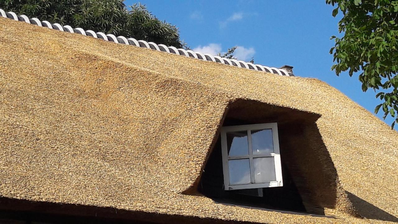 B&B Charming Farmhouse Prinsenbeek Экстерьер фото